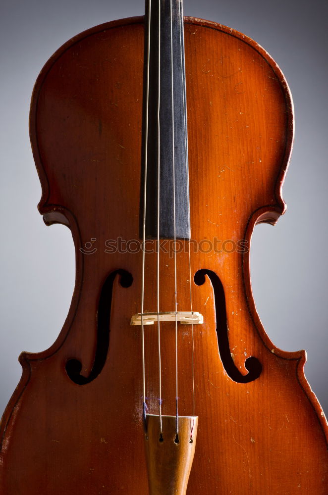 Similar – A violin photographed from above and very close up. You can see the bridge, the F holes, a part of the metal sides, a part of the light wood body and a part of the black fingerboard of the instrument.