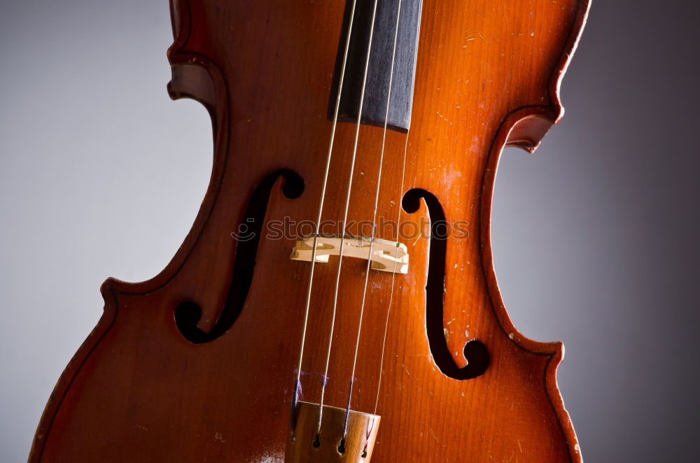 Similar – A violin photographed from above and very close up. You can see the bridge, the F holes, a part of the metal sides, a part of the light wood body and a part of the black fingerboard of the instrument.