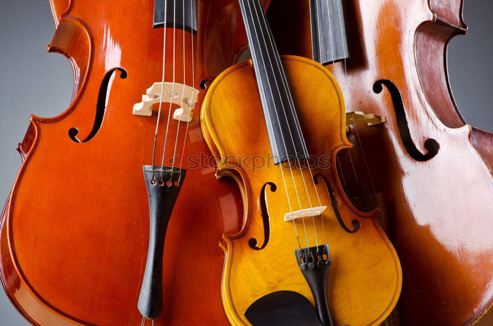 Similar – A violin photographed from above and very close up. You can see the bridge, the F holes, a part of the metal sides, a part of the light wood body and a part of the black fingerboard of the instrument.