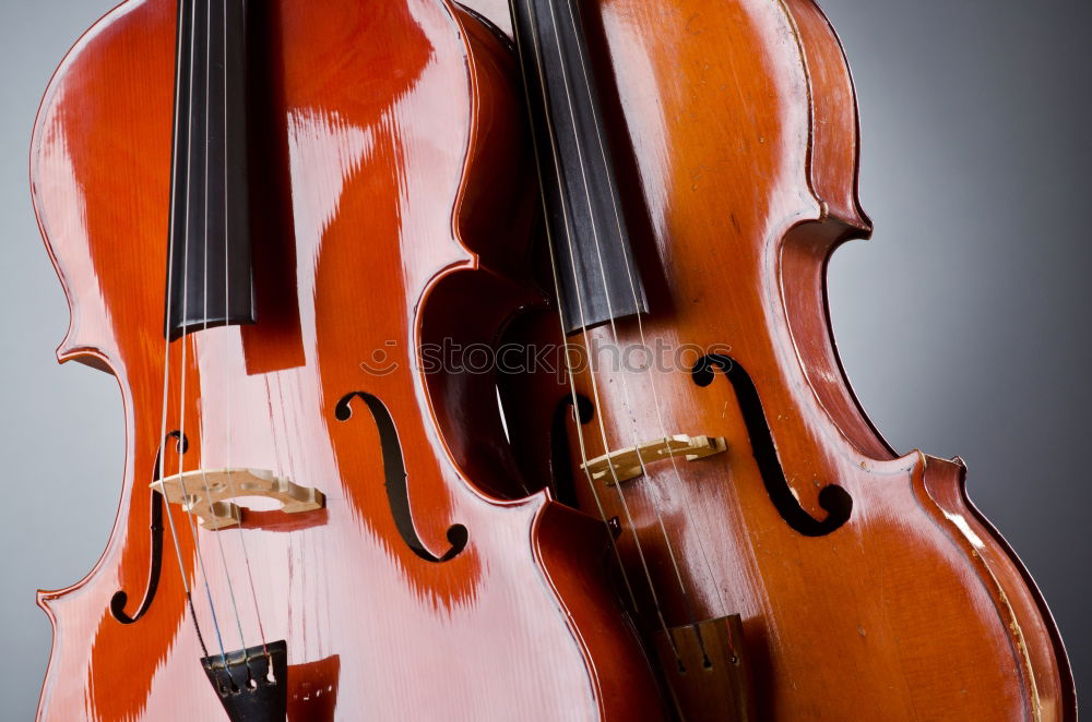 Similar – A violin photographed from above and very close up. You can see the bridge, the F holes, a part of the metal sides, a part of the light wood body and a part of the black fingerboard of the instrument.