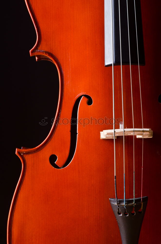 Similar – Image, Stock Photo Violin II Resonator