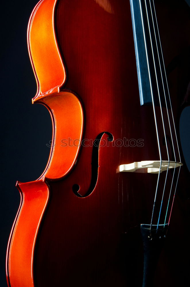 Similar – Image, Stock Photo Violin Black Background