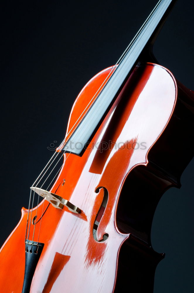 Similar – Image, Stock Photo Violin Black Background