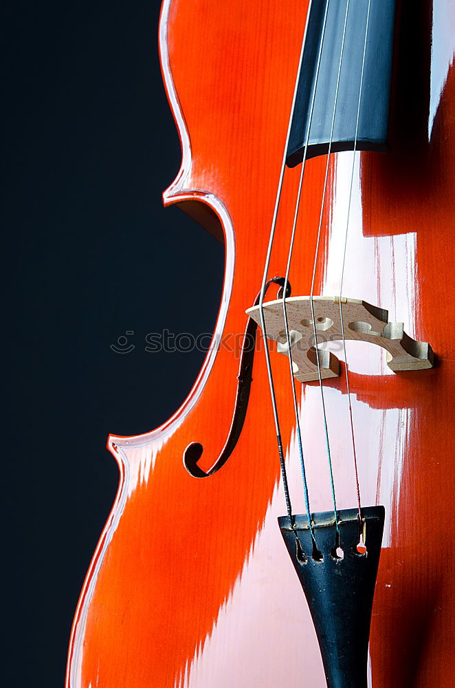 Similar – Image, Stock Photo Violin II Resonator