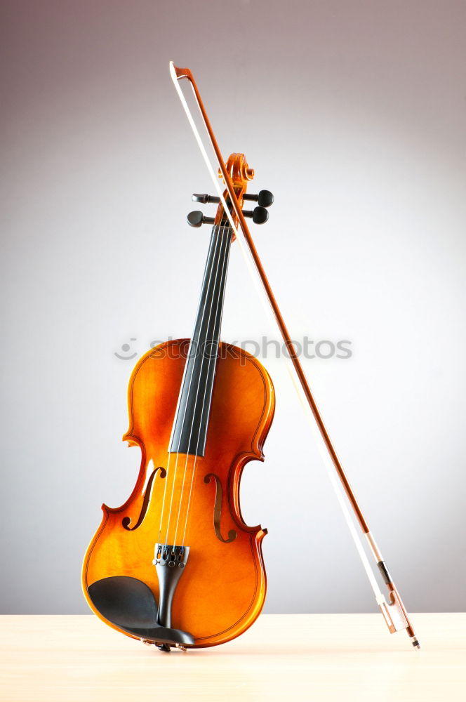 Similar – Image, Stock Photo Violin on green background