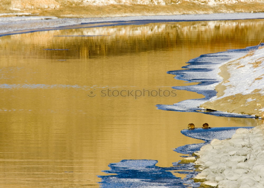 Similar – Stones in rust water Water