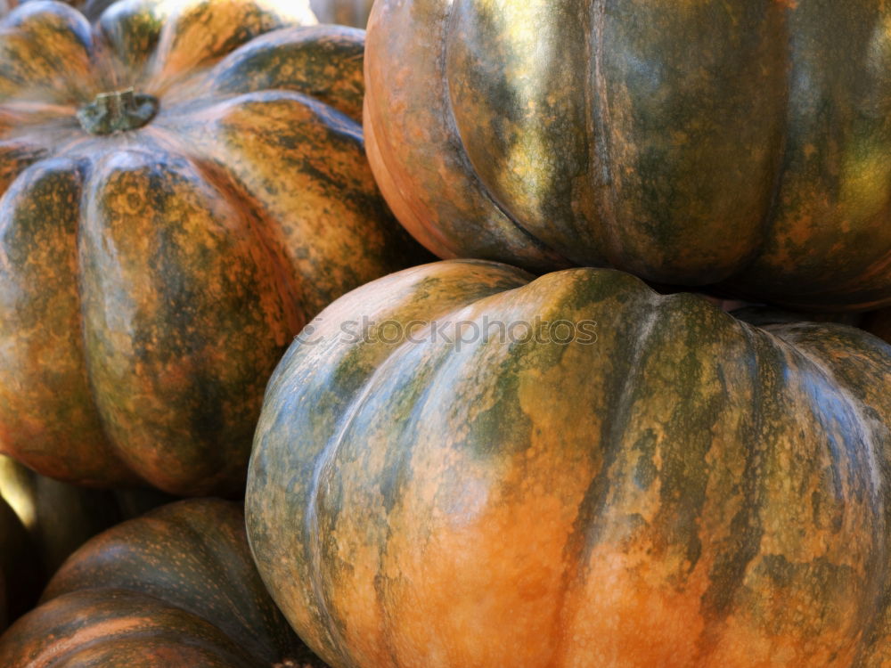 Similar – Image, Stock Photo pumpkin basket Food Fruit