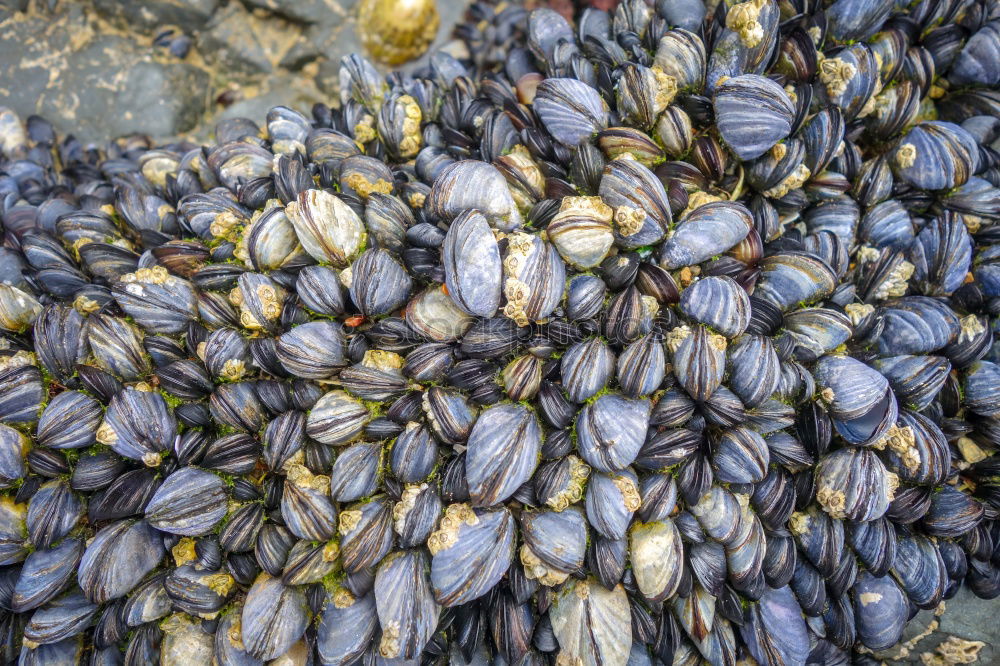 Similar – Image, Stock Photo Group pressure on the stone