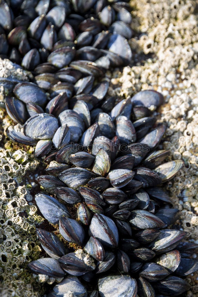 Similar – Image, Stock Photo Group pressure on the stone