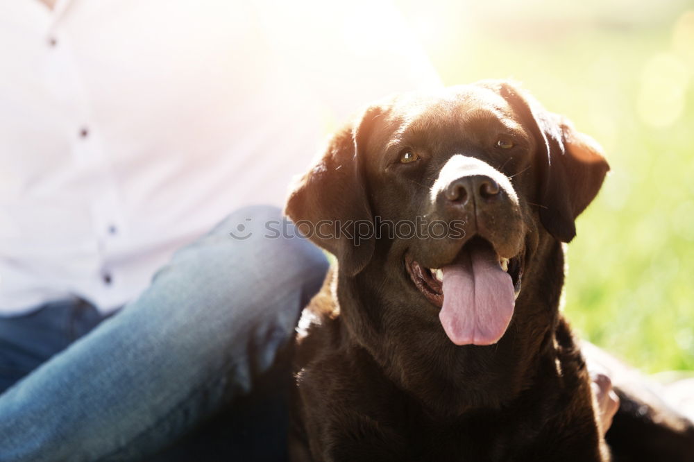 Similar – Cute puppy an his owner at the beach