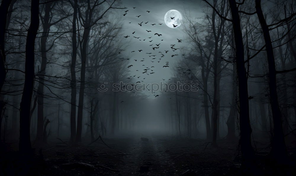 Similar – Image, Stock Photo Dark Paths Nature