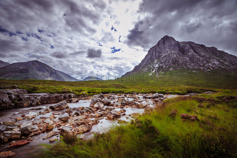 Similar – Image, Stock Photo scot Environment Nature