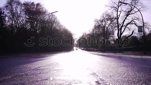 Similar – Image, Stock Photo signpost forest