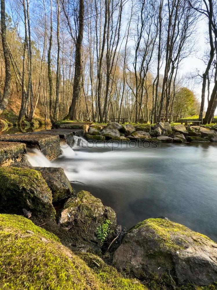 Similar – Image, Stock Photo Real Fábrica de Municiones de Eugi
