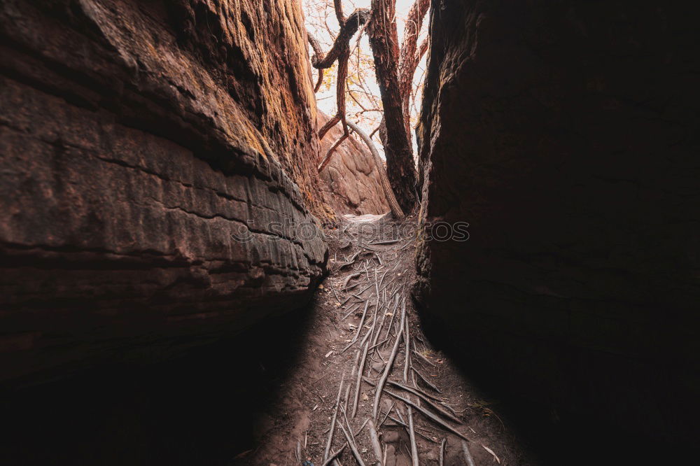 Similar – speleologists Well-being