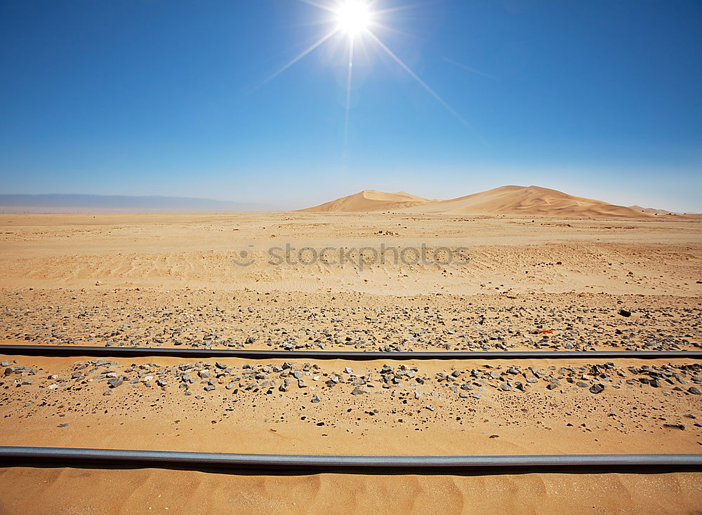 Similar – sunbath Namibia Diamond