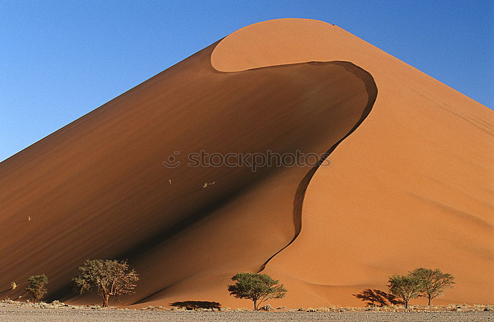 Similar – Dune 45 (2) Red Tree Dull