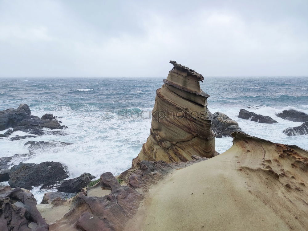 Similar – Foto Bild Kleine Möwe, fliegt nach Helgoland