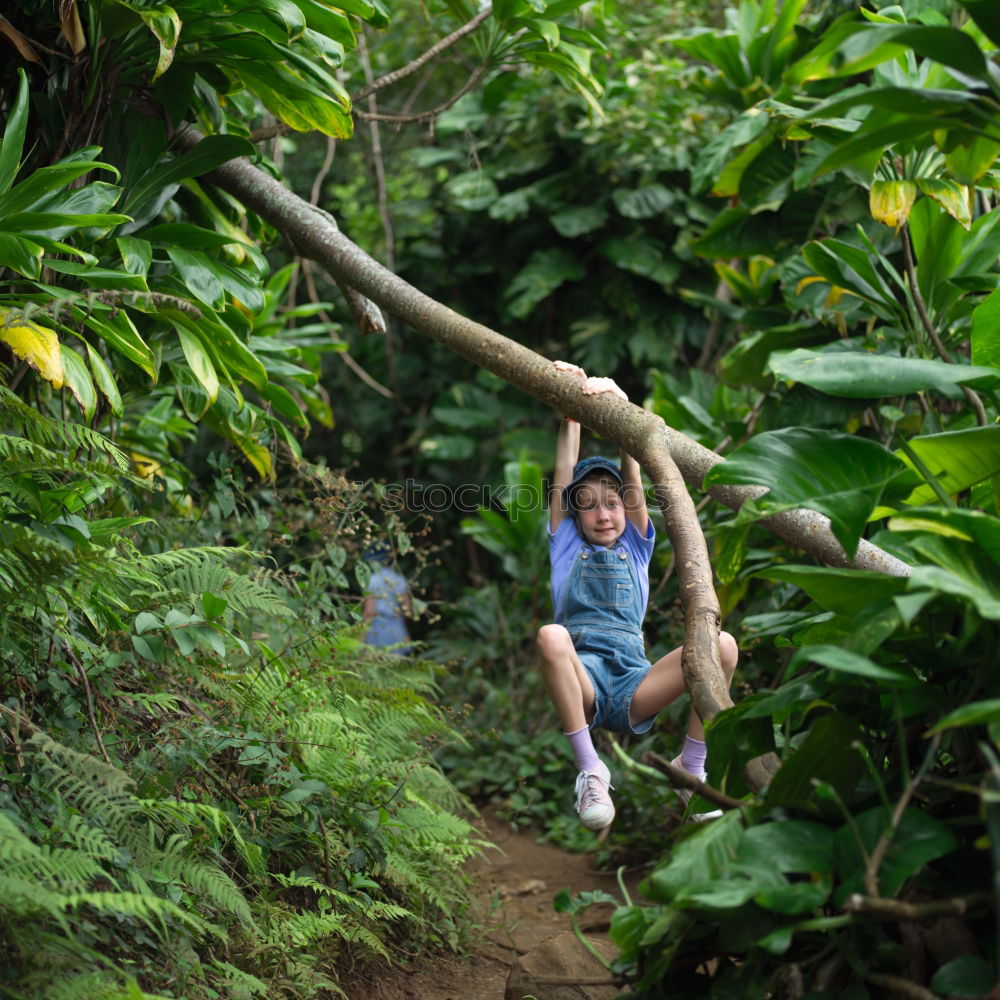 Similar – Woman climbing stairs in the forest