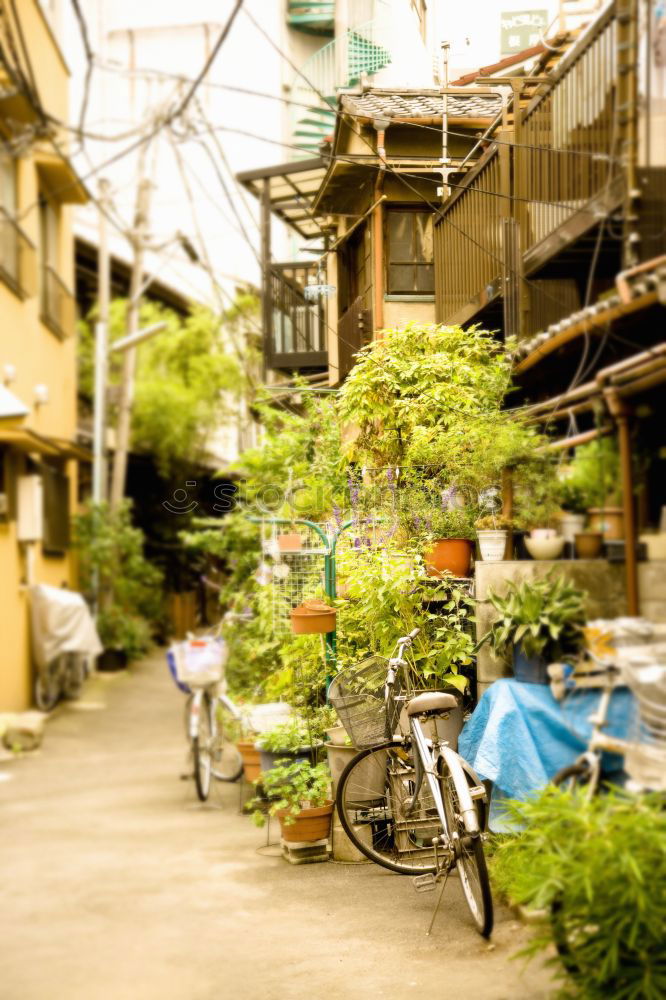 Similar – Image, Stock Photo Traffic in Saigon Muddled