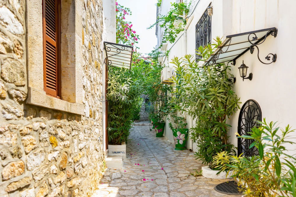 Similar – Image, Stock Photo Rustic flower pots in Cadaques, Spain