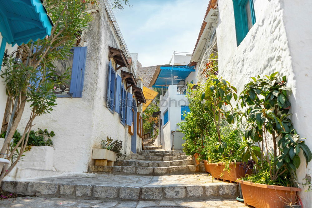 Similar – Image, Stock Photo Rustic flower pots in Cadaques, Spain