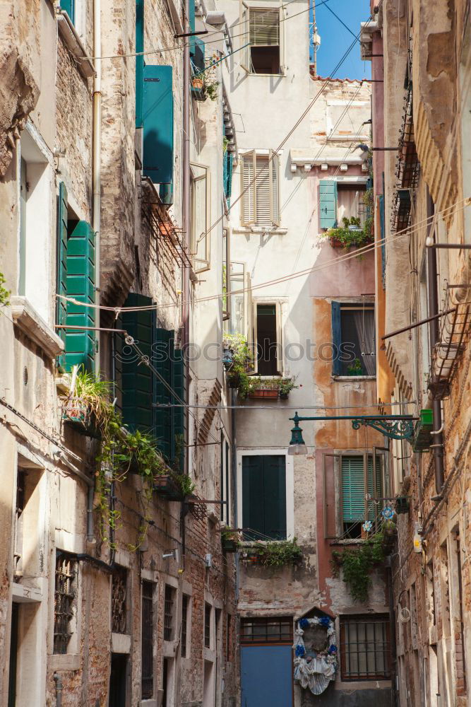 Similar – Beautiful street view of Rome, Italy