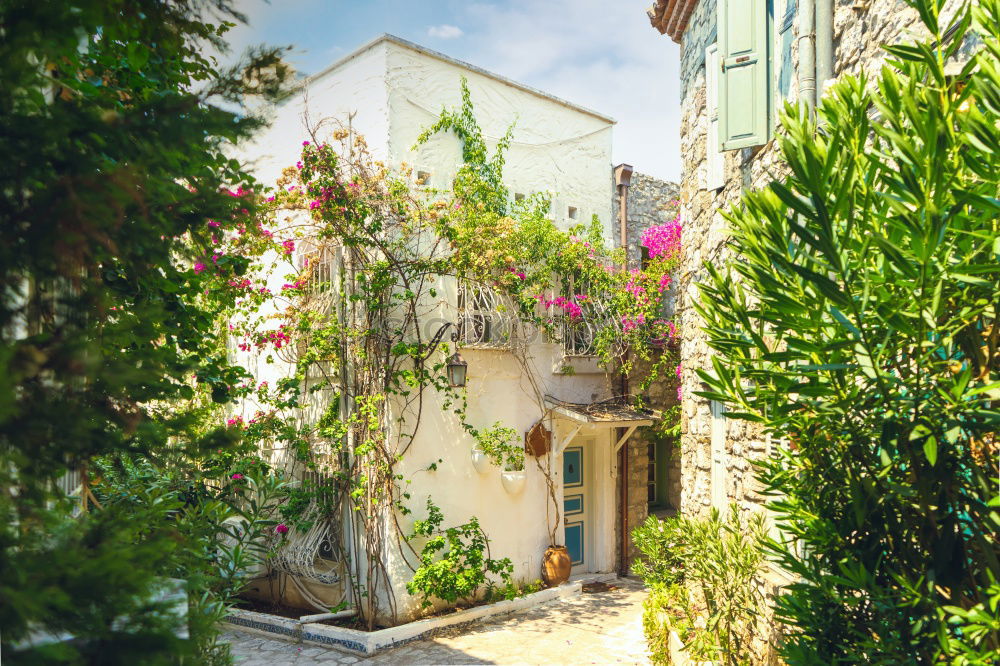 Similar – Image, Stock Photo Girona IV Spain Catalonia