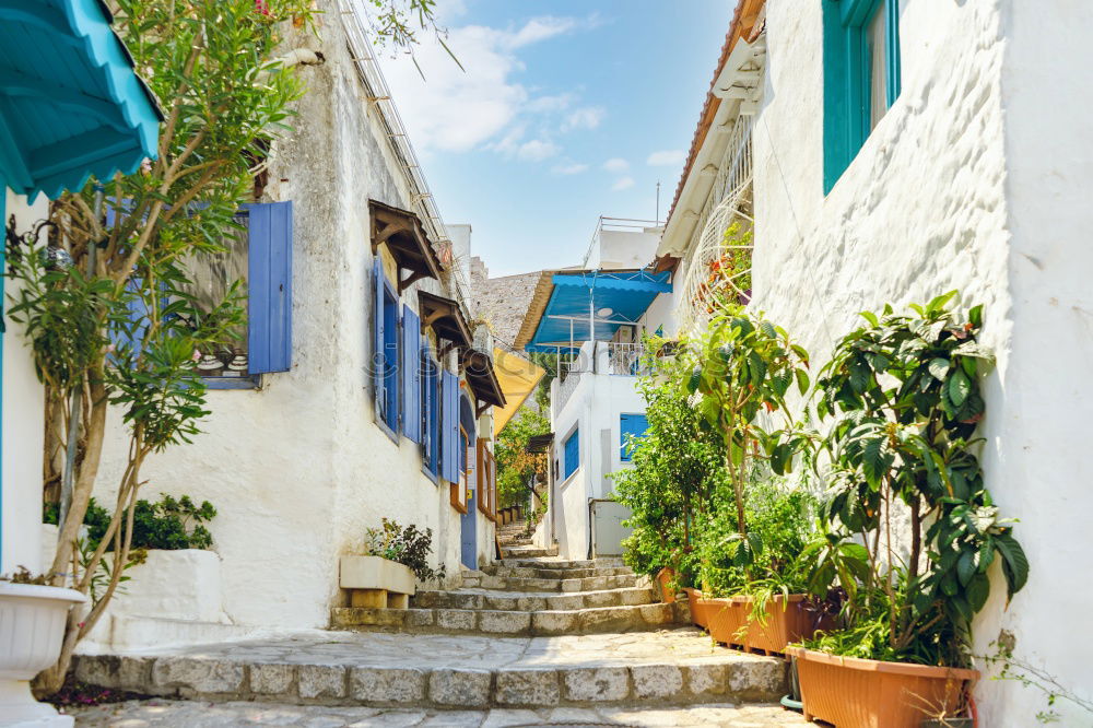 Similar – Image, Stock Photo Rustic flower pots in Cadaques, Spain