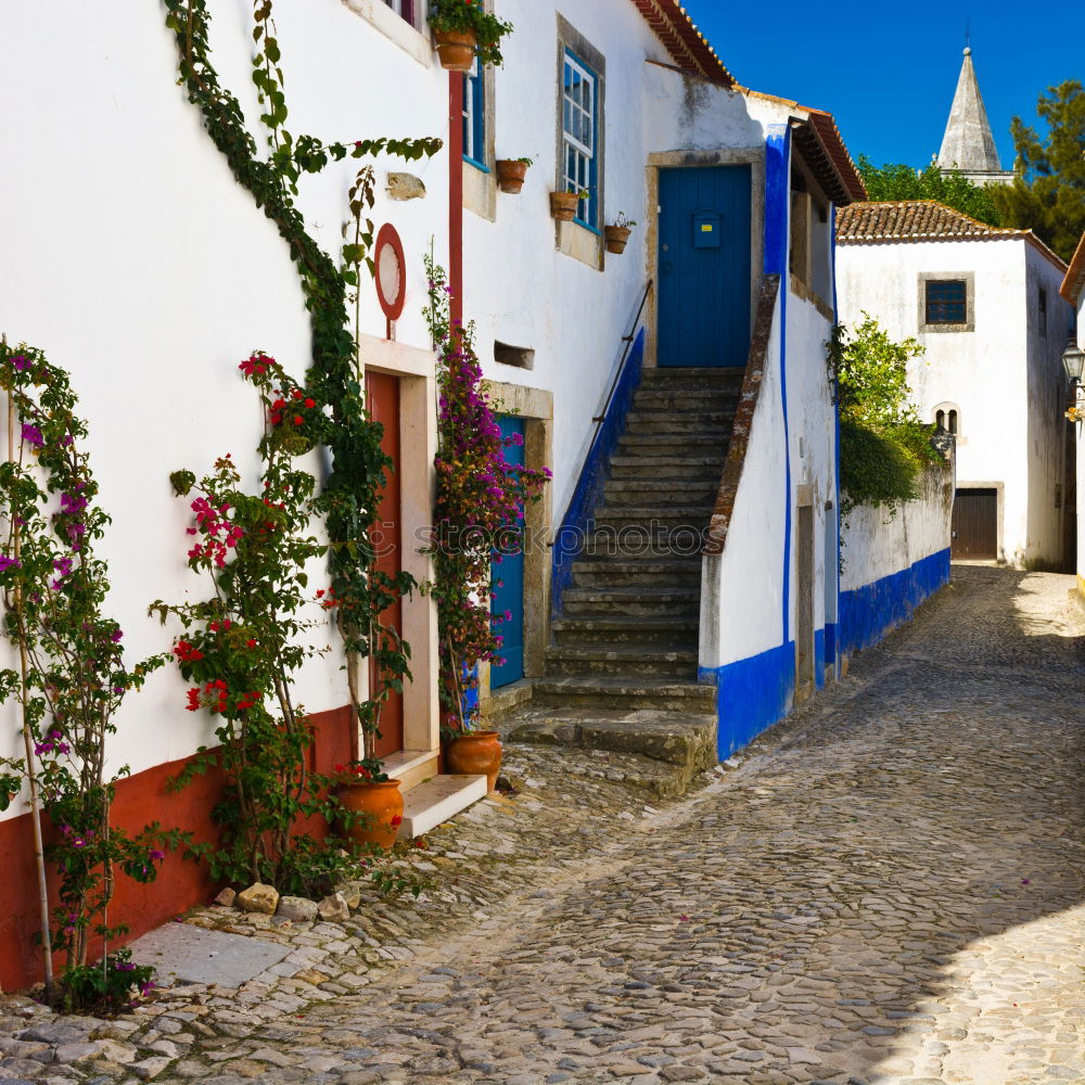 Similar – Image, Stock Photo Medieval village Monsaraz in the Alentejo Portugal