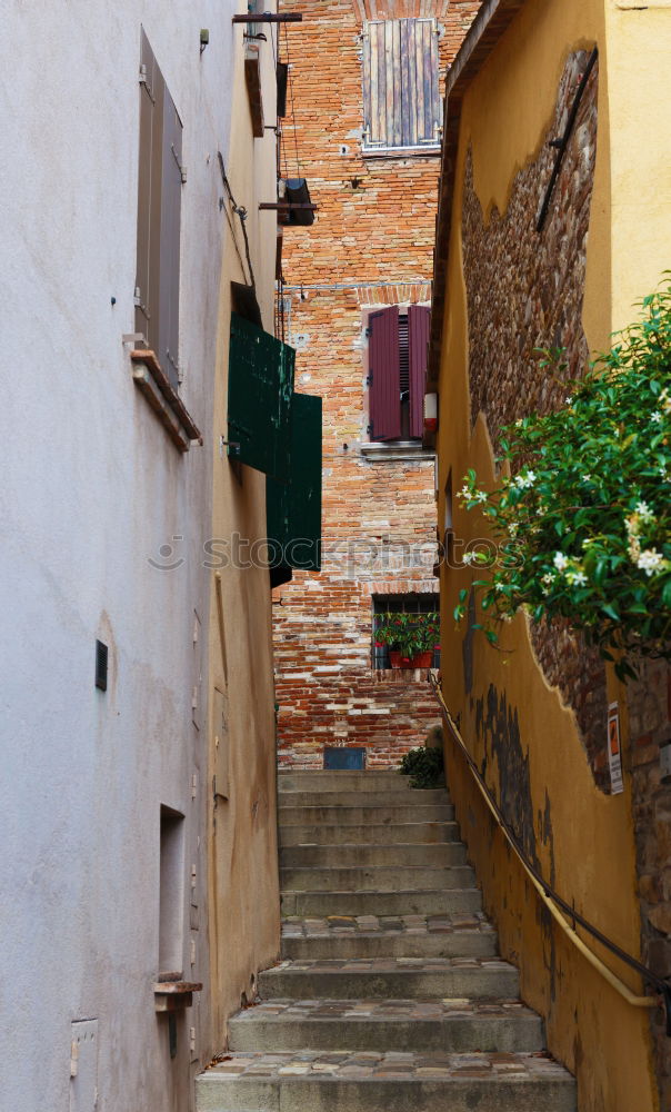 Similar – Image, Stock Photo Street in La Orotava, Tenerife