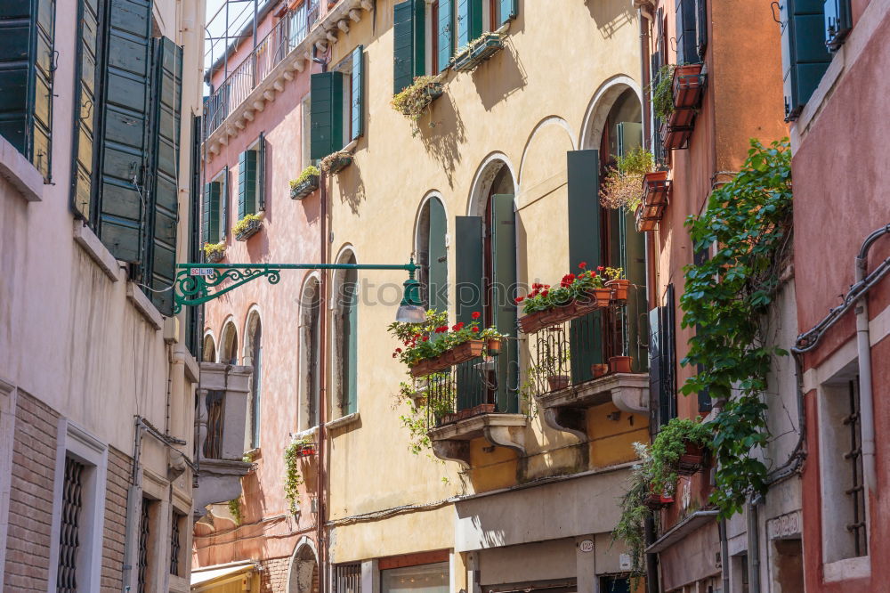 Similar – Streets of Naples Shopping