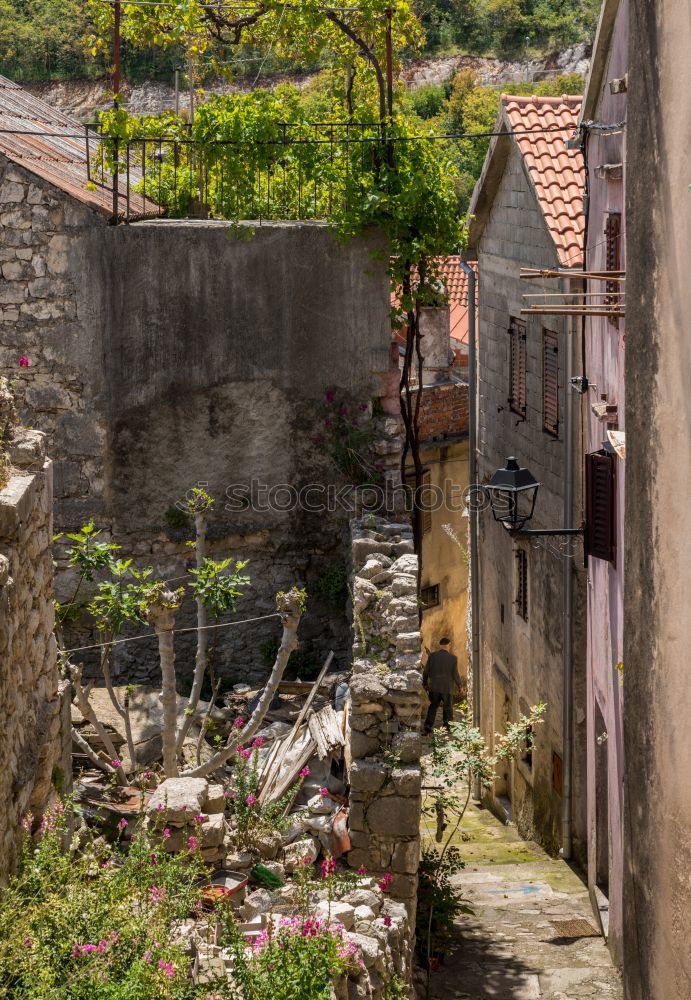 Similar – Image, Stock Photo Small alley in Montpellier, France