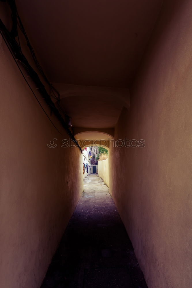 Similar – Image, Stock Photo Genoa_Streets Town