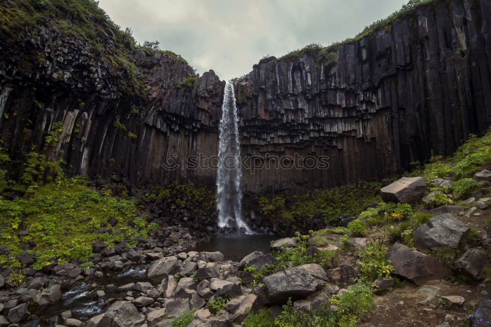 Similar – Image, Stock Photo Svartifoss Beautiful Life