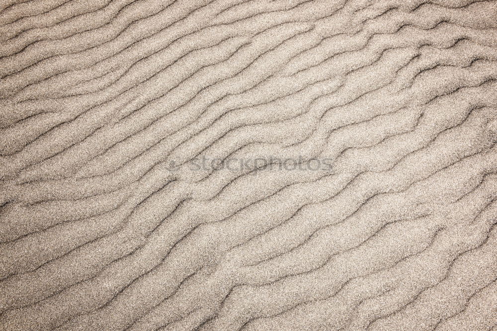 Similar – Image, Stock Photo 119 [dune]