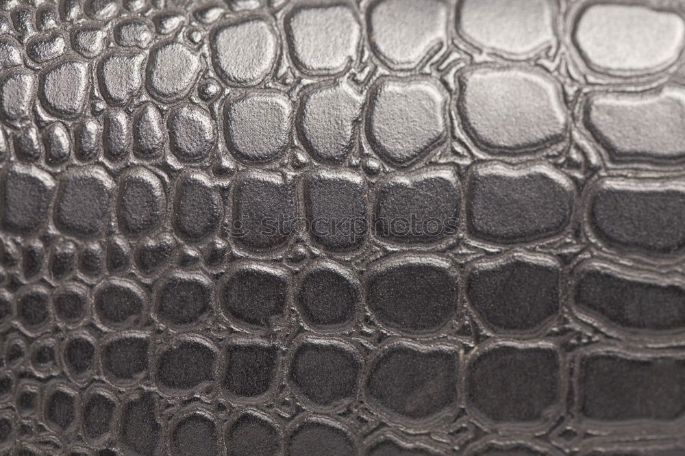 Similar – Image, Stock Photo crocodile skin Animal