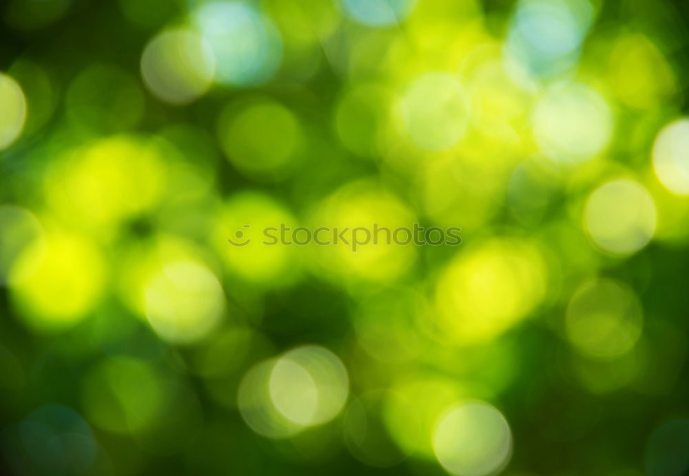 Similar – Image, Stock Photo Green Spots Colour Dye