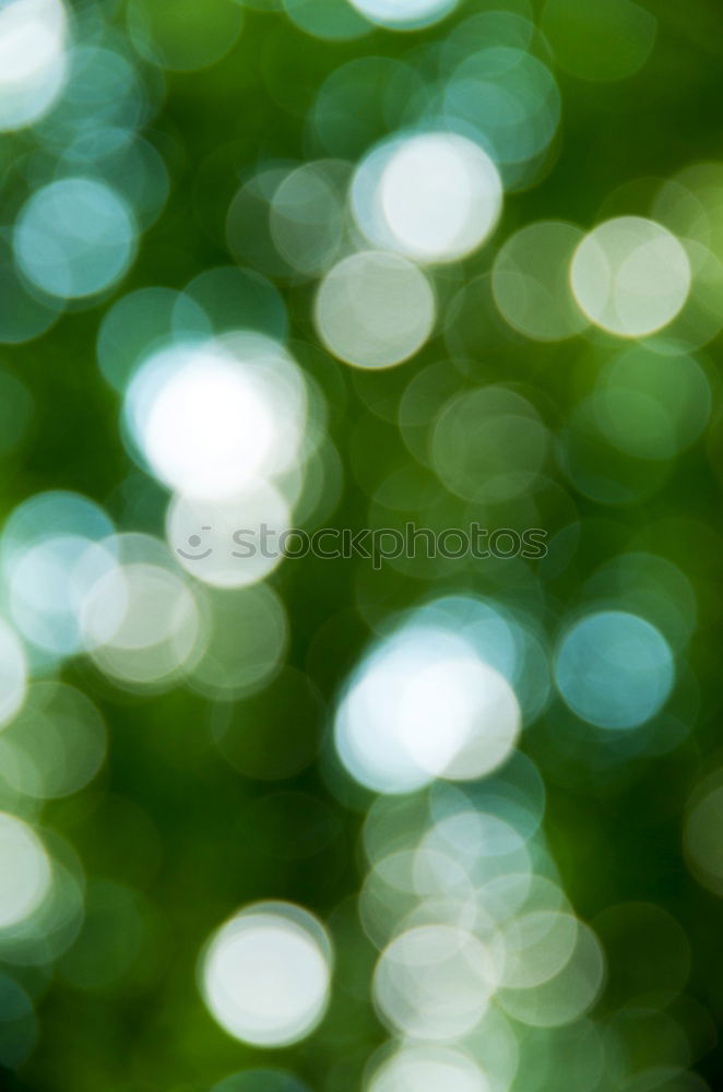 Similar – Image, Stock Photo Nothing going on without moss III