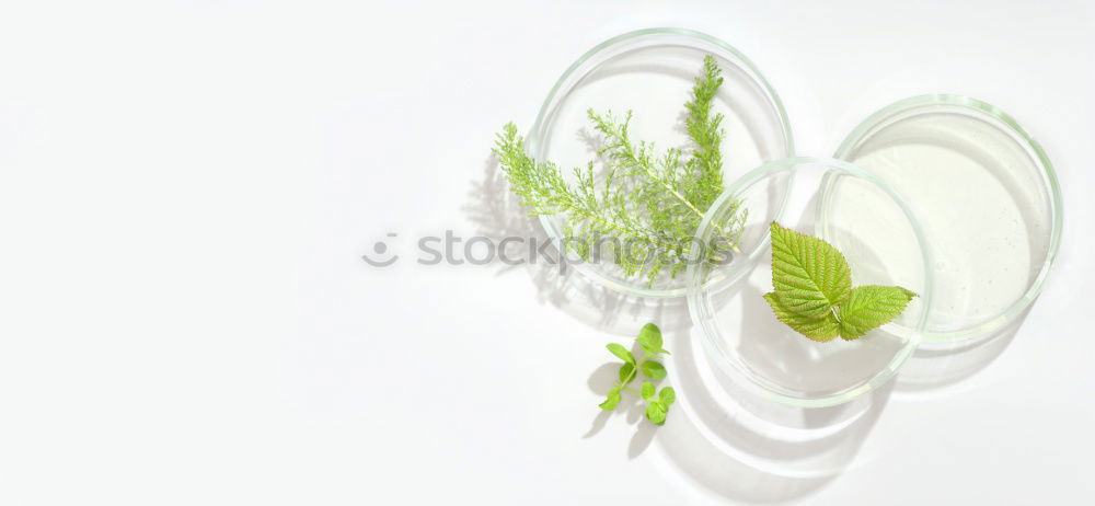 Similar – Image, Stock Photo parsley Food