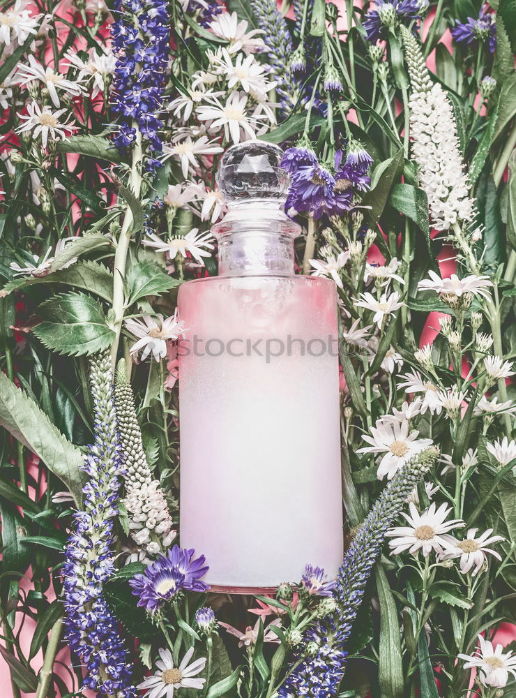 Similar – Image, Stock Photo Floral perfume bottle with plants and flowers