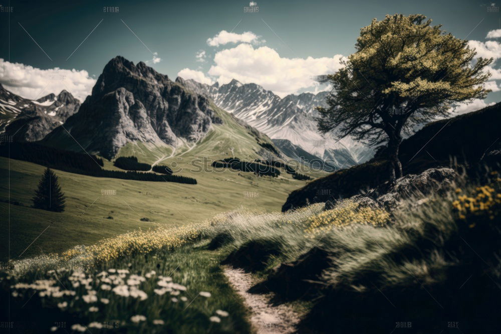 Similar – Image, Stock Photo Alpine summit with clouds