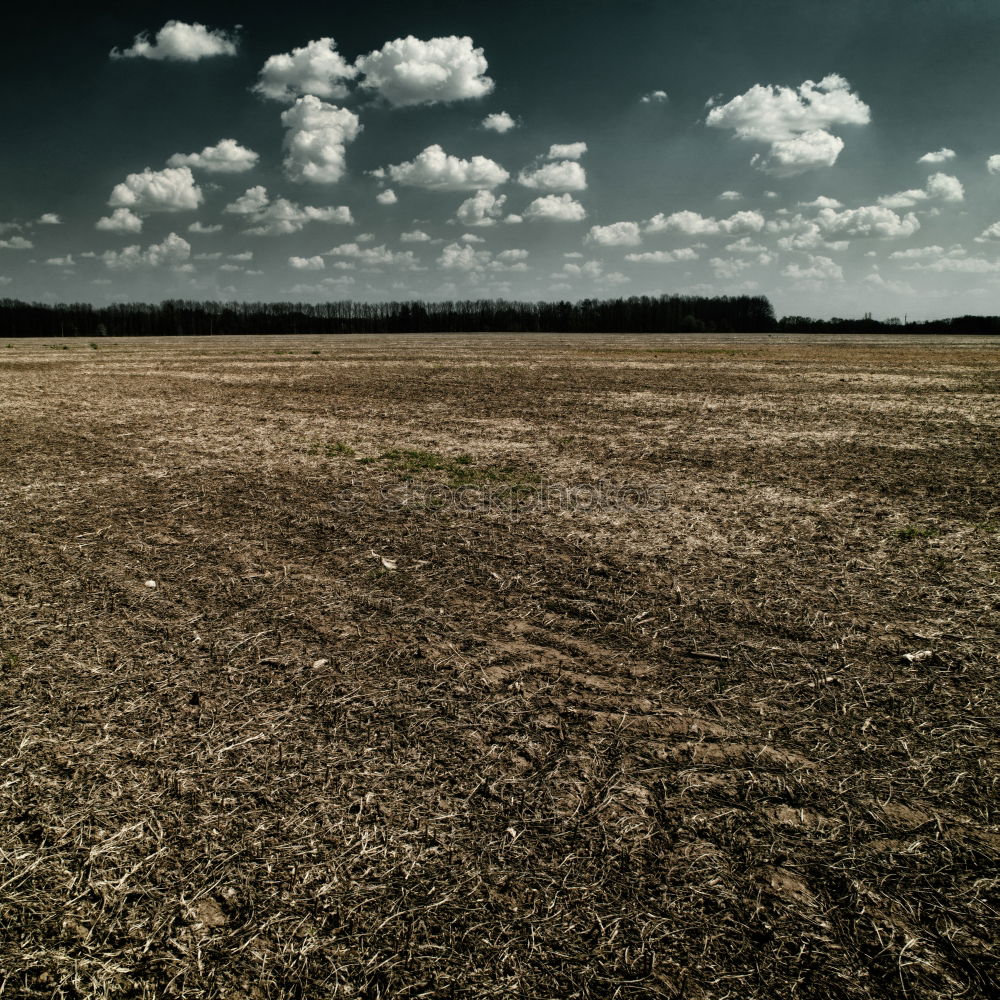 Similar – farmhand Field Loosen Plow