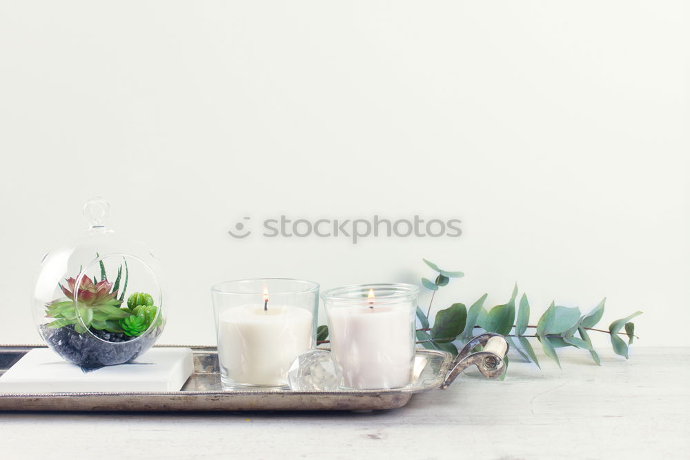 Similar – Image, Stock Photo Wellness Set Lifestyle