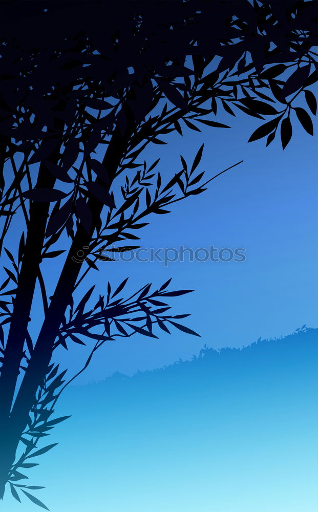 Similar – Image, Stock Photo Shadow tree, blue sky. A white cloud.33 degrees.Only the fir tree brings some shade.Queensland / Australia