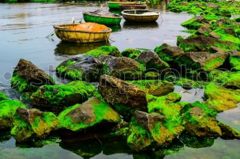 Similar – Image, Stock Photo boat, dormant I Lake Dark