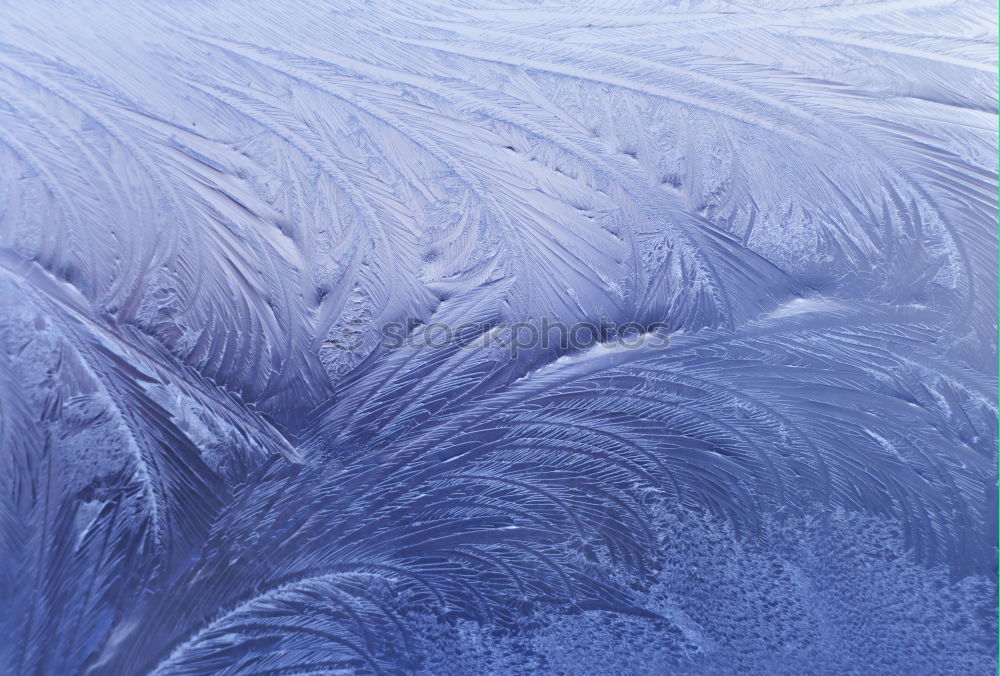 Similar – Filigree ice flower on the windscreen of a car during severe frost