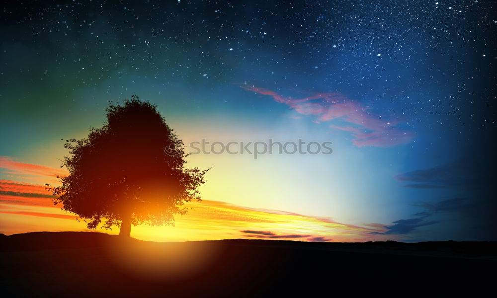 Similar – Image, Stock Photo the tree Leaf Evening Tree