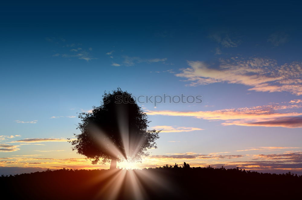 Similar – Image, Stock Photo ponder Tree Clouds