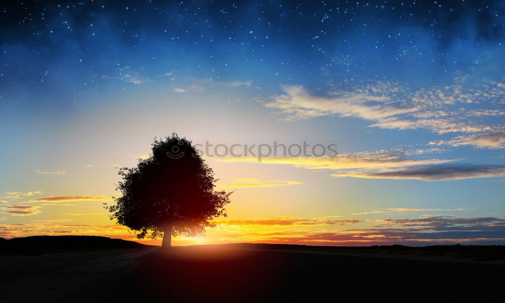 Similar – Image, Stock Photo ponder Tree Clouds